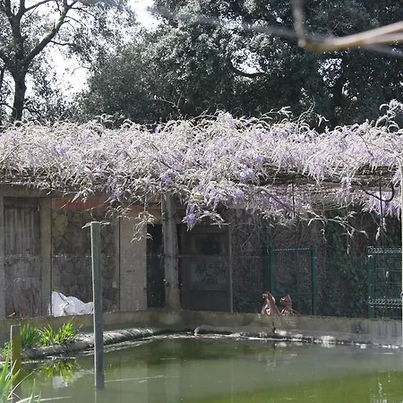 Casa rural Mas Duran