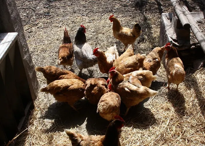 Mas Duran Hétvégi ház