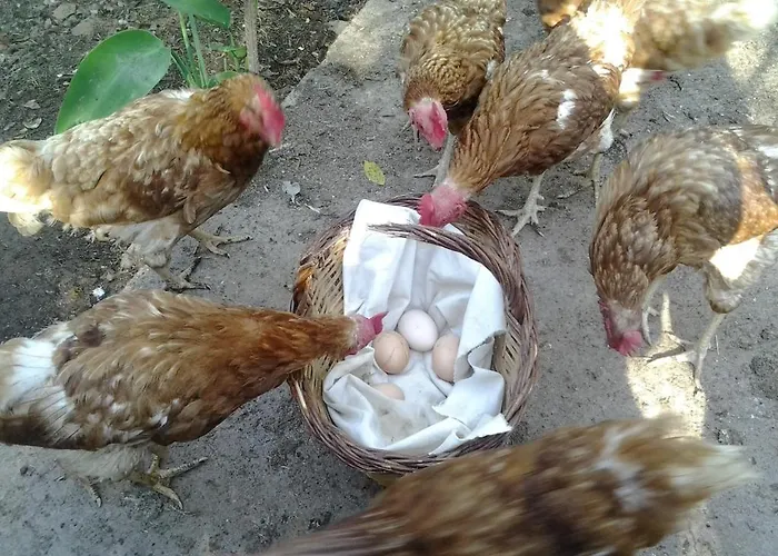 Mas Duran Hétvégi ház