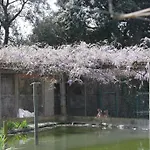 乡村民宿 马斯杜兰乡村民宿